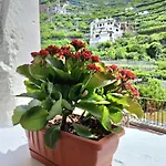 Al Panorama *